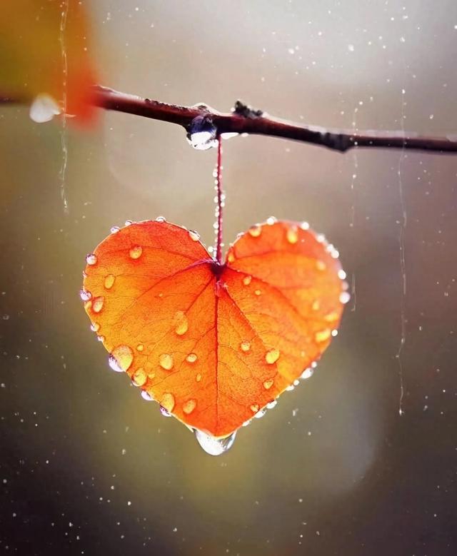 后来的我们，拥有了一切，却唯独失去了彼此