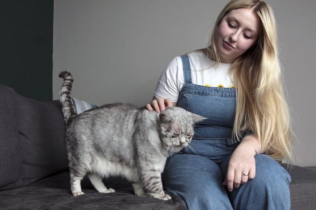 好丧!英国猫咪患“松皮症”面部下垂满面愁容