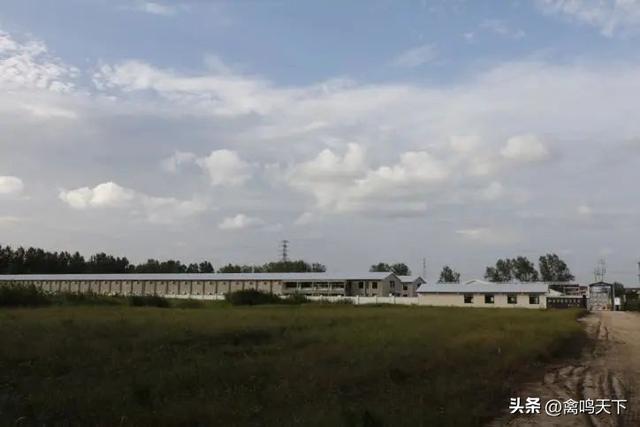 顾云飞专访：从自律到规范，京海“敢为天下先”的下个五年