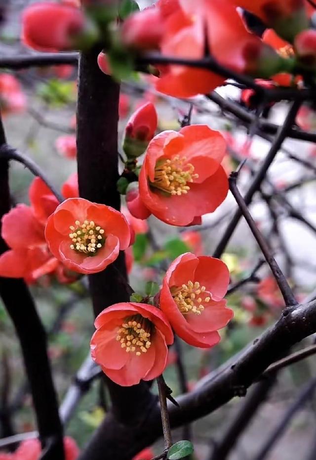 你会收到这个月以来最好的消息