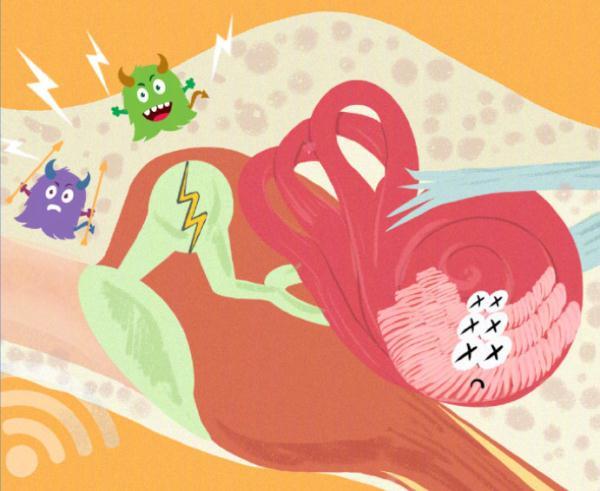 毕竟没有它，你啥也听不见