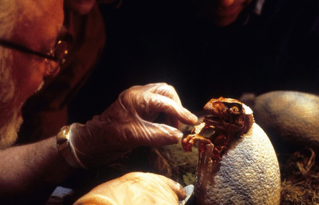 绝境荒野逃生电影12部