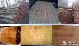 非洲红木(非洲红木还能撑多久？新实施的《红木》国标影响拭目以待)