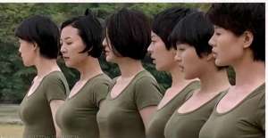 火凤凰电视剧(火凤凰：八位丰满女主，各个身怀绝技)