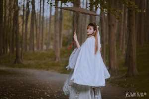 天斩剑(小说：少年歌行十年之约之青城山飞轩)