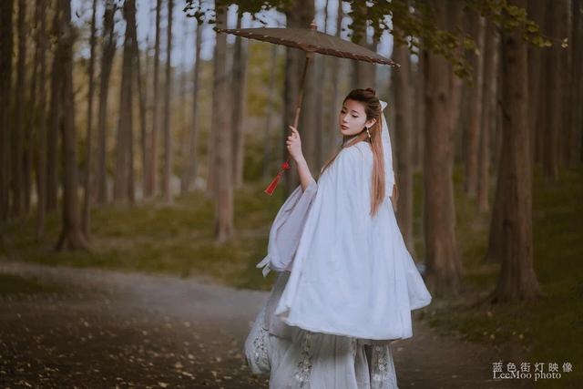 小说：少年歌行十年之约之青城山飞轩