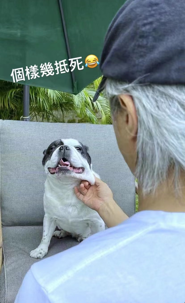60岁周星驰罕晒近照!与爱犬合影互动不断,隔空嘟嘴献吻显宠溺