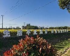 红柘、金稻、粉蔬，奉贤这个村的“庭院经济”有看头！