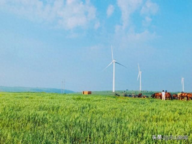 张北草原音乐节开麦这份出行攻略请收好