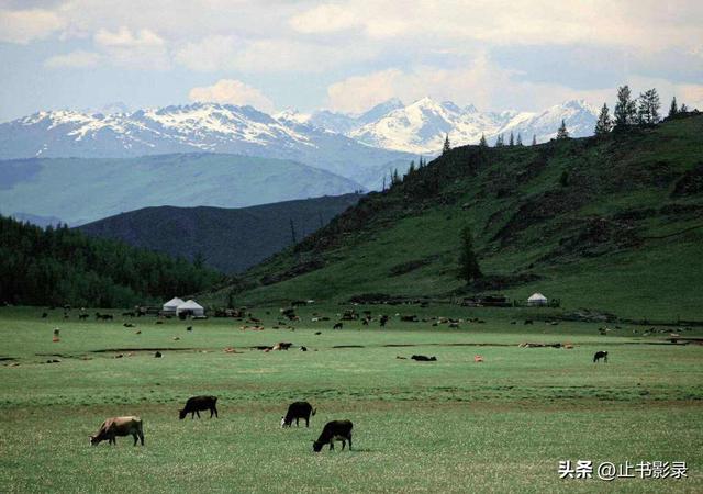 李娟《阿勒泰的角落》：绿色就是大地上最广阔、最感人的自由呀