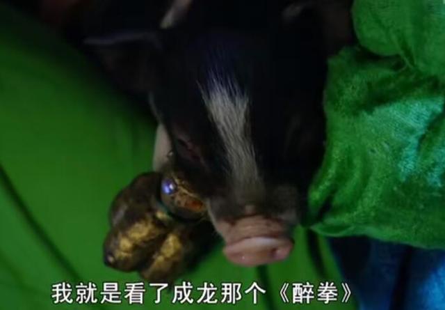 陈乔恩，对不起，恕我当时年少无知，这部剧好尬好沙雕我好喜欢啊