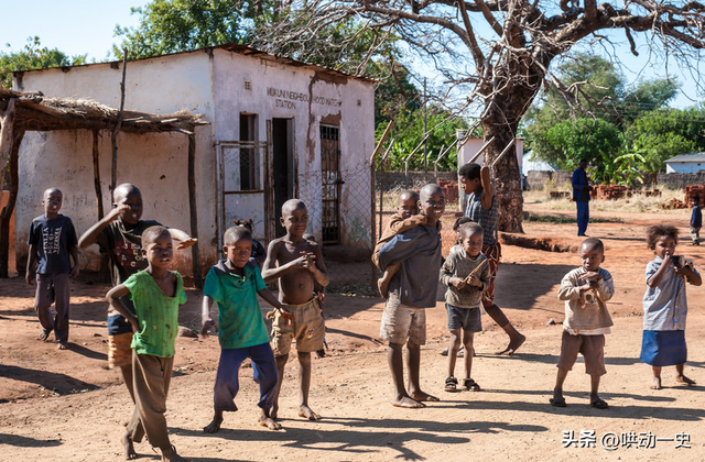 非洲土皇帝王垚：丰臀辣妹当助理，生活奢靡为何多次被官媒表扬？