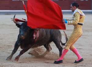 西班牙斗牛士(西班牙斗牛士)