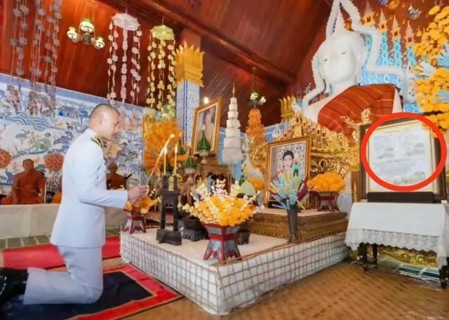 诗妮娜贵妃偷摸生子，有儿有女儿子七岁，生日放一家4口漫画示威