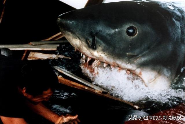 人类对鲨鱼的恐惧，都在这4部电影里了