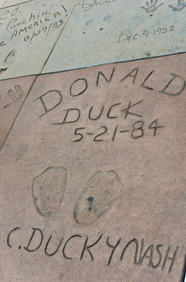 受人追捧的“流量鸭”，不只有可达鸭