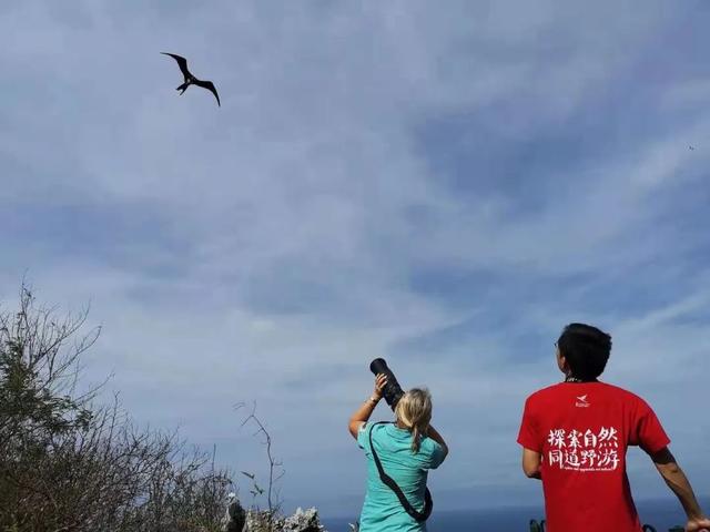 荒野间谍第二季-大迁徙队伍里的间谍红蟹