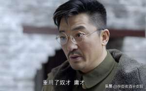 庸才(老蒋在辽沈淮海重用“三才将”：庸才是杜聿明，蠢材和奴才是谁？)