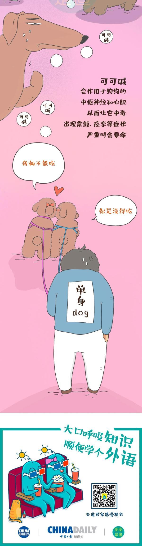 中国第一个吃巧克力的人是康熙！他当时的试吃反馈是……