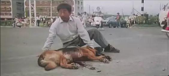 电影《搭错车》：当矢志不渝的父爱遇上阴差阳错的人生