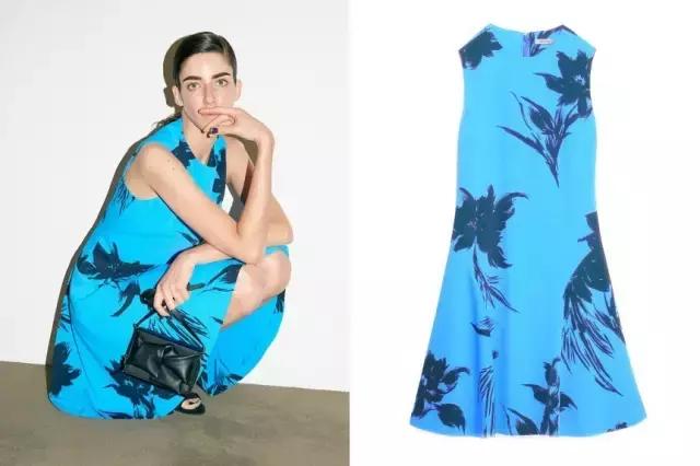 愉快的连衣裙 不愉快的果实