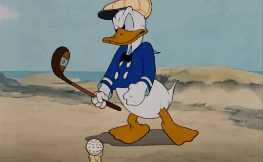 受人追捧的“流量鸭”，不只有可达鸭