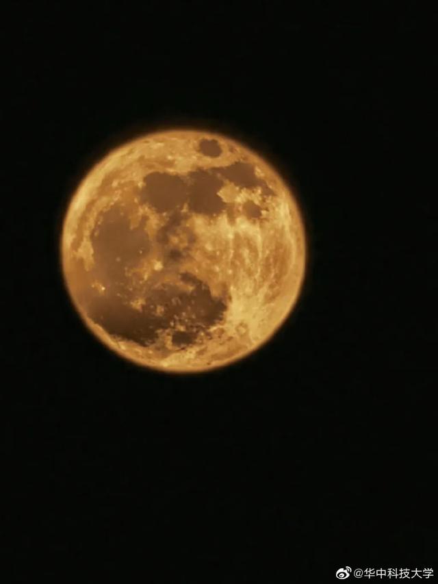 好圆!好大!好美