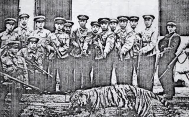 打虎英雄陈耆芳，为孙复仇打死138只老虎，周总理亲自接见