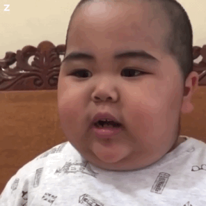 tatan表情包合集｜你就是个混蛋