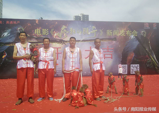 《疯狂的猴子》：独一无二的“新野猴”