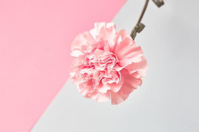 令人窒息的爱(下)