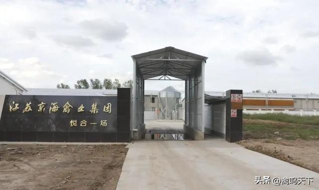 顾云飞专访：从自律到规范，京海“敢为天下先”的下个五年