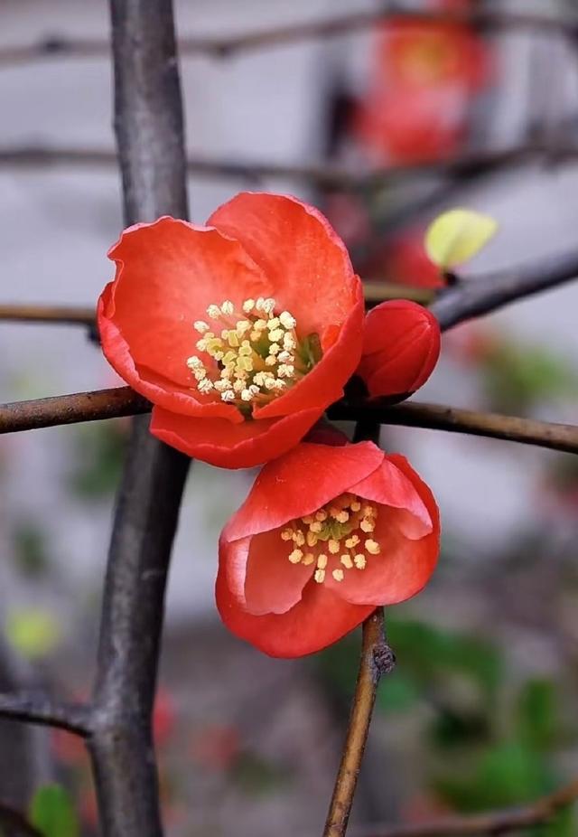 你会收到这个月以来最好的消息