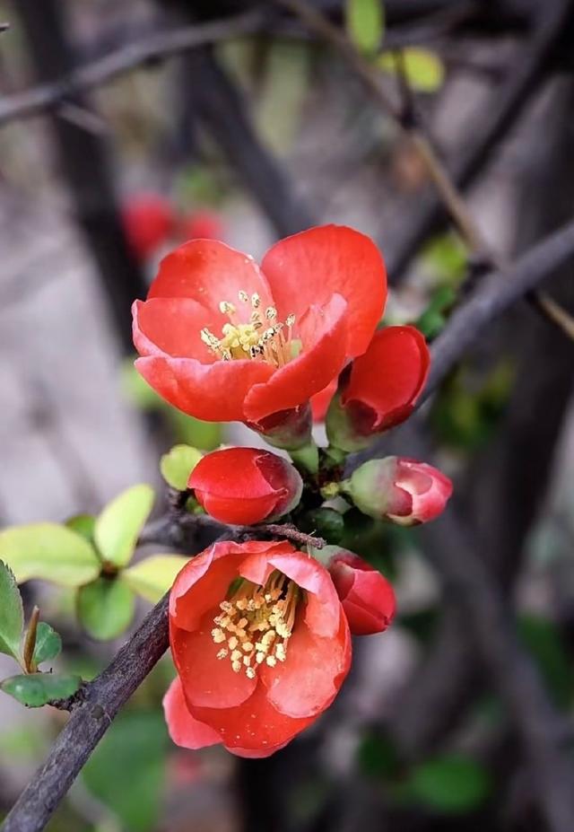 你会收到这个月以来最好的消息