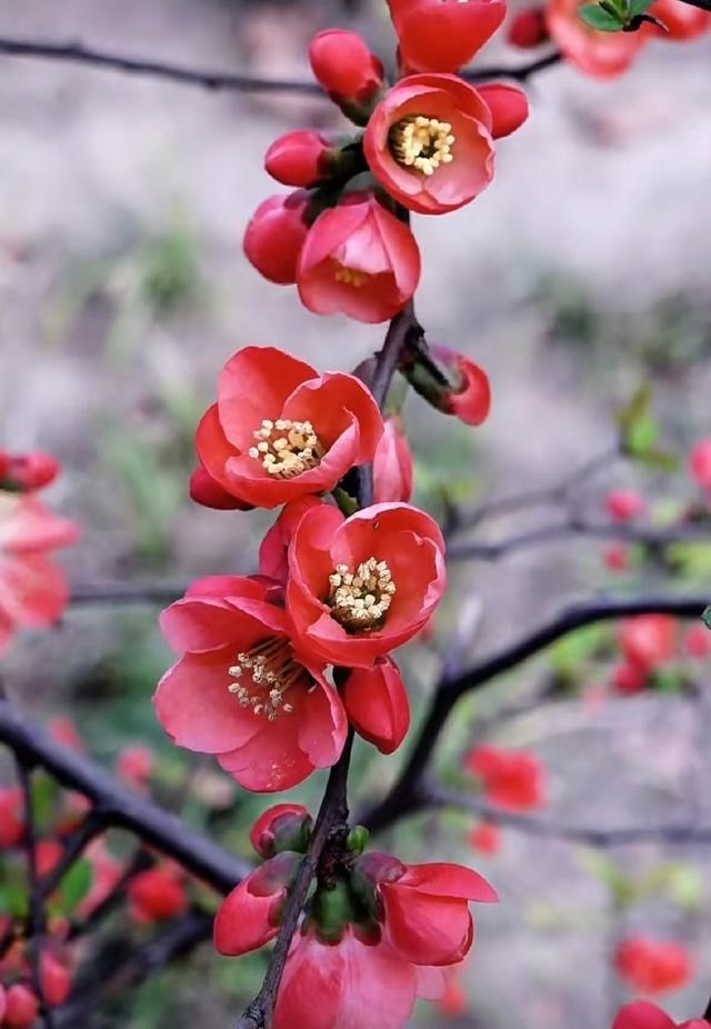 你会收到这个月以来最好的消息