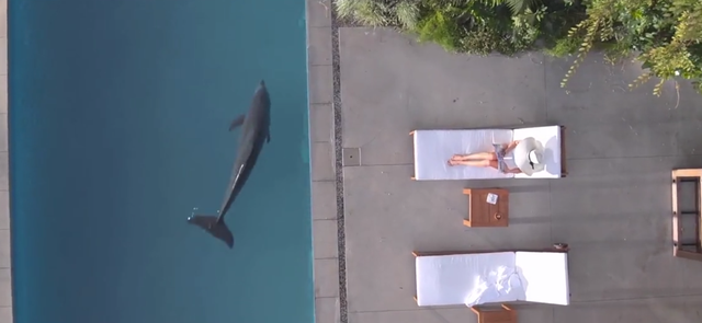 HBO再出高能羞耻剧，滚床单还要好评打分？