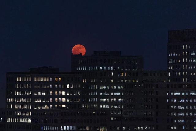 好圆!好大!好美