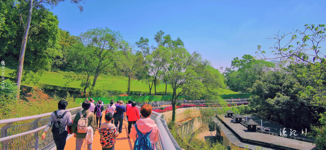 在线蹲一个起名高手，帮“云道”起个名