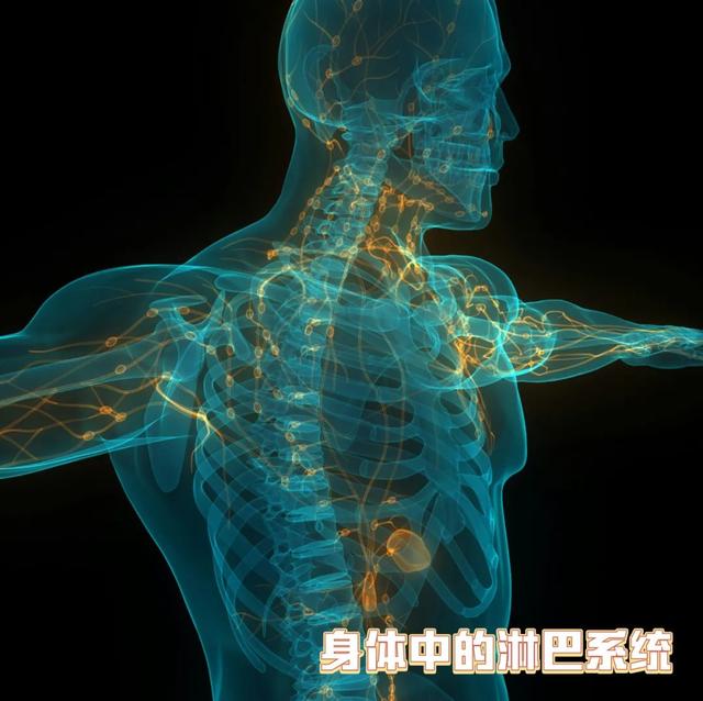 每天打呼噜，杭州男子确诊癌症！妻子崩溃：他不听我的呀