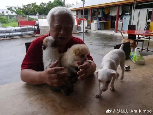 我最爱的歌手，今年73岁