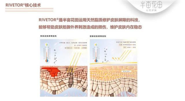 2022首届山东省化妆品产业高质量发展大会牡丹分论坛顺利召开