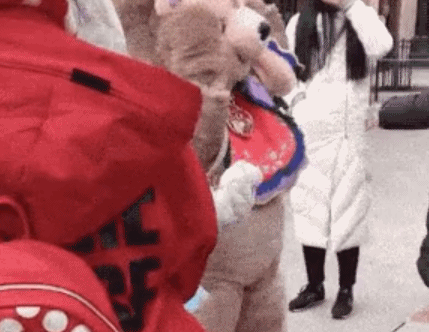 排队7小时，只为她砸钱：玲娜贝儿到底啥来头？