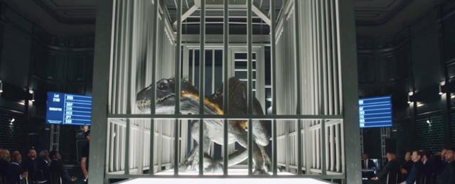 侏罗纪系列恐龙档案解析，暴虐霸王龙与暴虐迅猛龙有什么不同