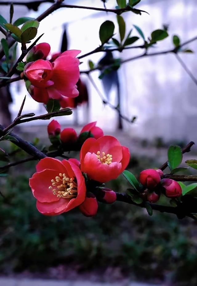 你会收到这个月以来最好的消息