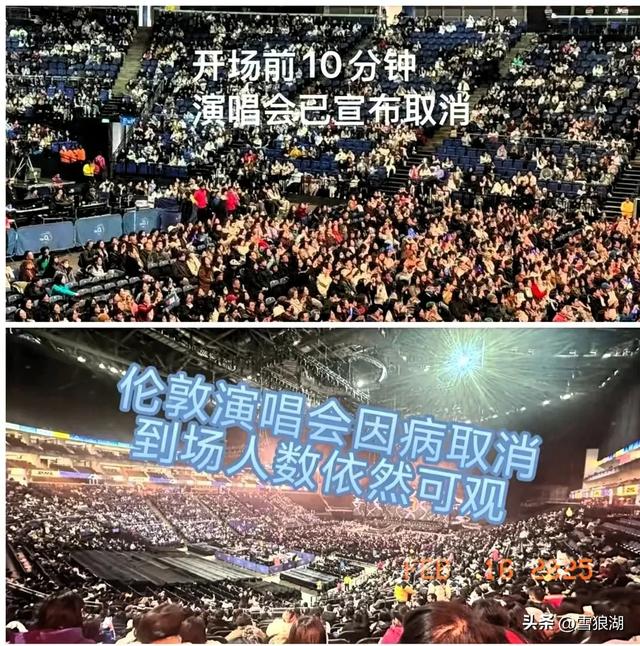 周深伦敦演唱会取消，粉丝全球声援：‘我们依然爱你’