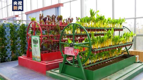 坐着高铁看中国丨行走“天路”最美青藏线！小小枸杞撑起戈壁绿洲