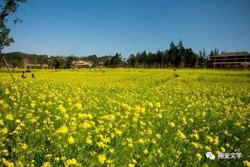 厉害了!翔安这位本土诗人竟然写了这么多香山的诗