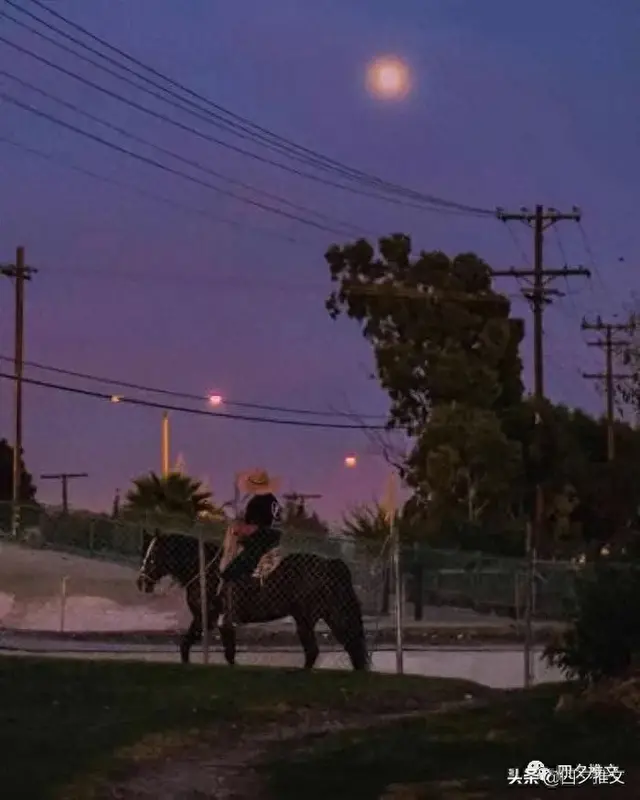 甜蜜纵火(完结新文｜追妻火葬场、破镜重圆文)