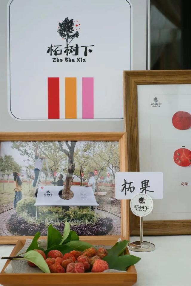 红柘、金稻、粉蔬，奉贤这个村的“庭院经济”有看头！