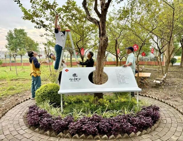 红柘、金稻、粉蔬，奉贤这个村的“庭院经济”有看头！